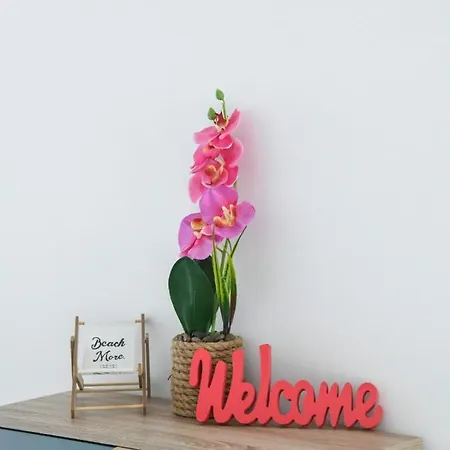 Antonia Apartamento *