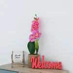 Antonia Apartman *
